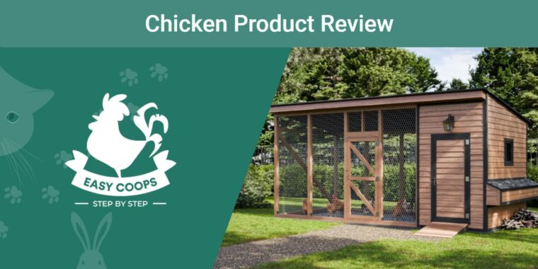 PK - SAPR_Easy Coops Chicken Coop Plan Review