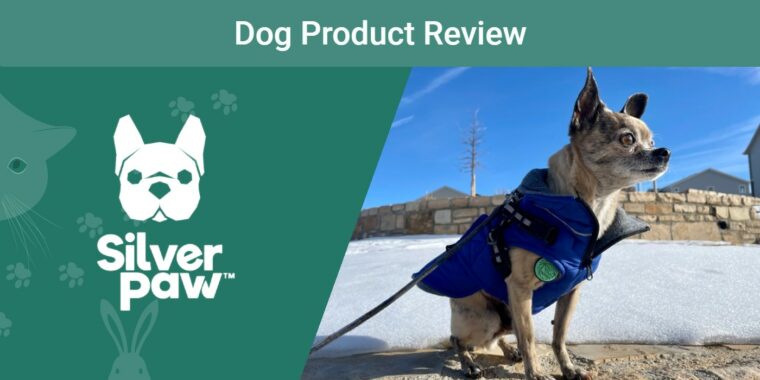 PK - SAPR_Silver Paw Maximus Dog Harness & Monty Jacket Review