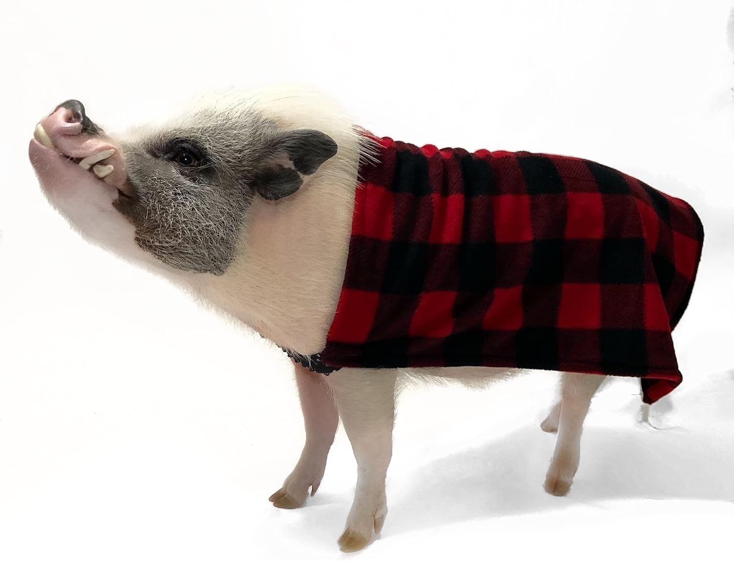 Morty’s Pig Clothes Easy-On Elastic Fleece Cloak