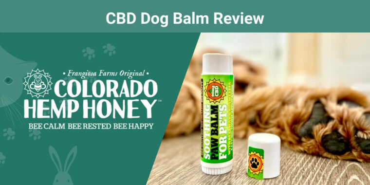 Colorado Hemp Honey CBD Dog Balm
