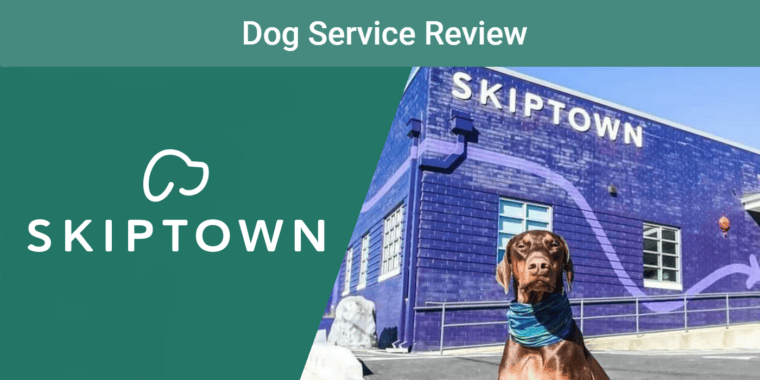 PK_SAPR_Skiptown Dog Bar & Park 1