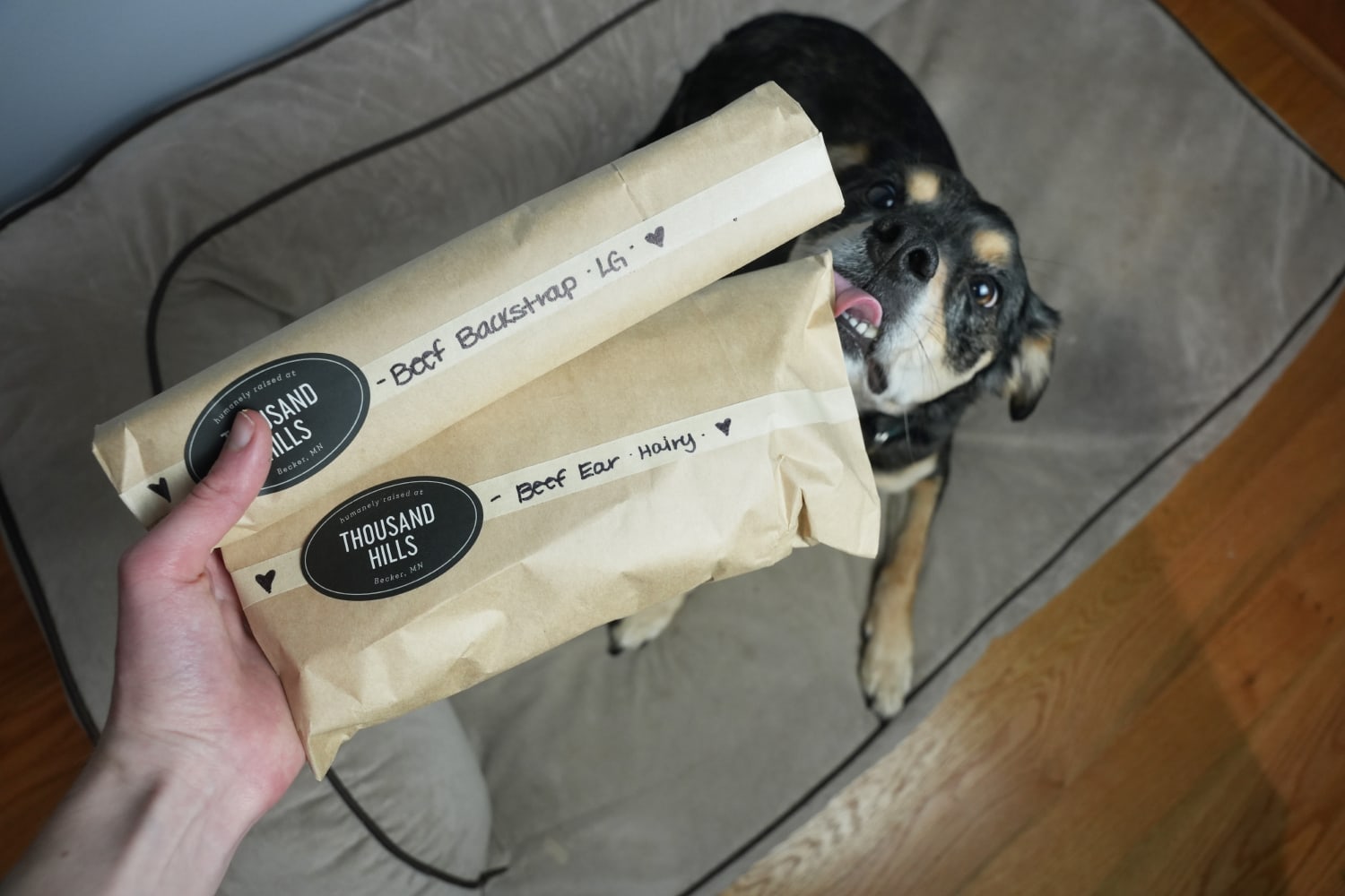 Farm Hounds - elo licking the packaging