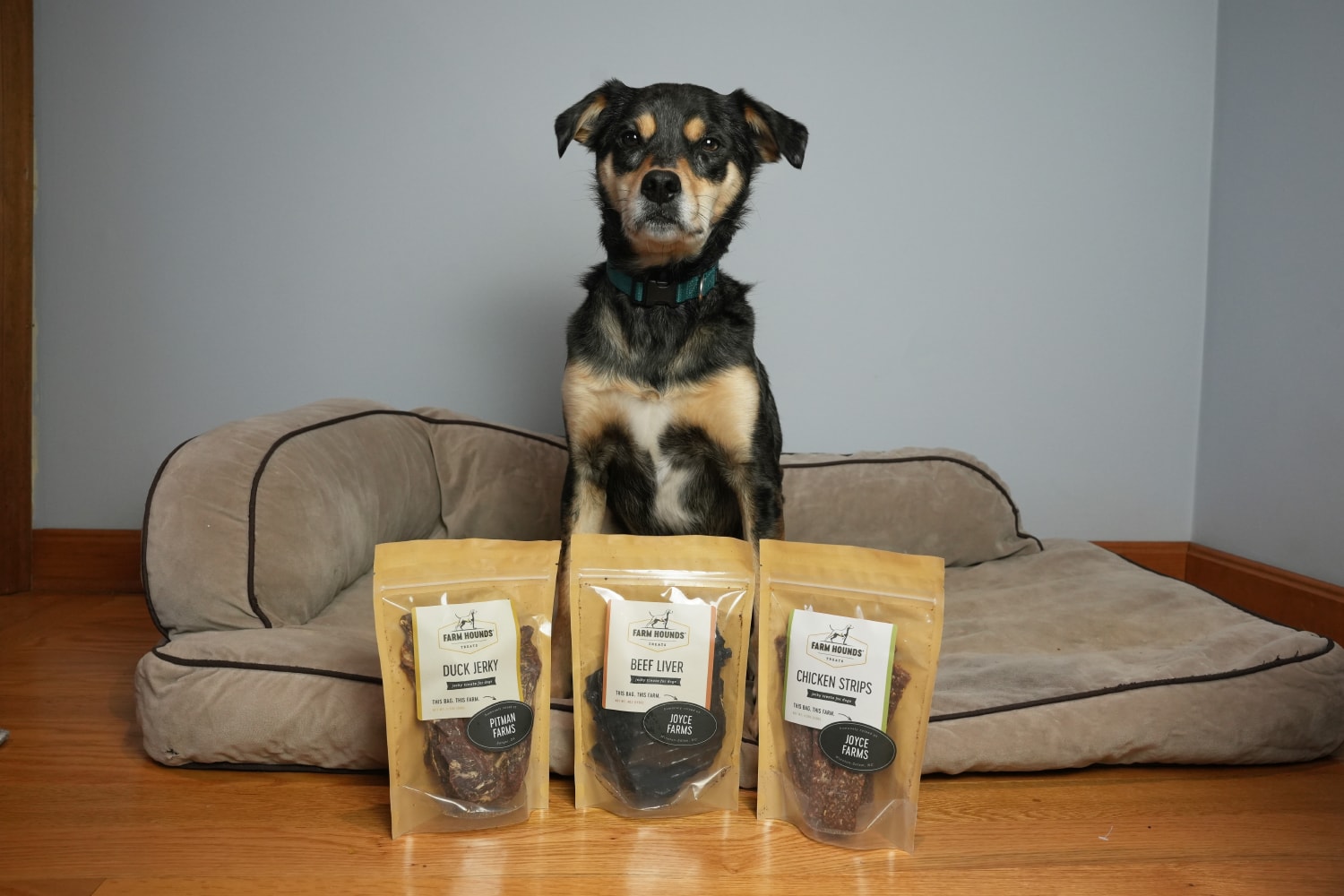 Farm Hounds - elo sitting behind the products