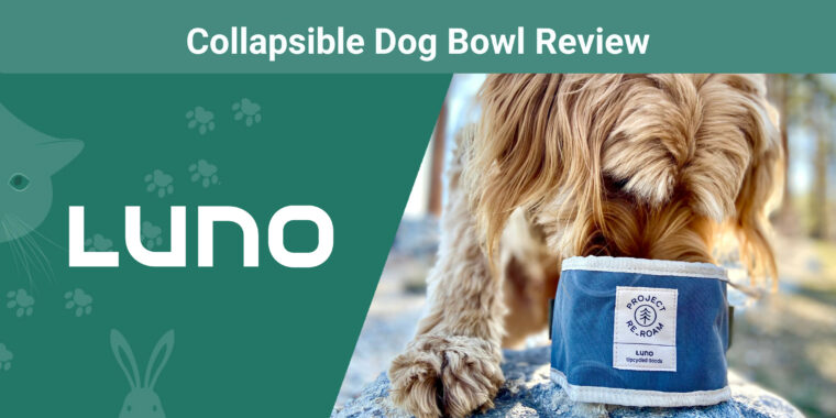 Luno Collapsible Dog Bowl