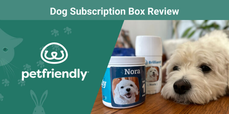 Petfriendly Dog Subscription Box
