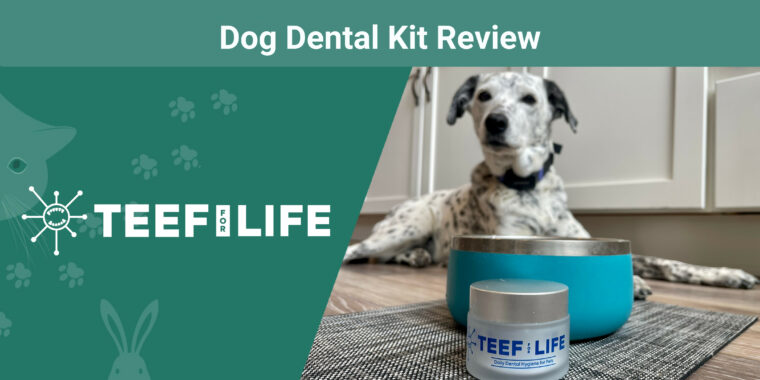 TEEF Dog Dental Kit