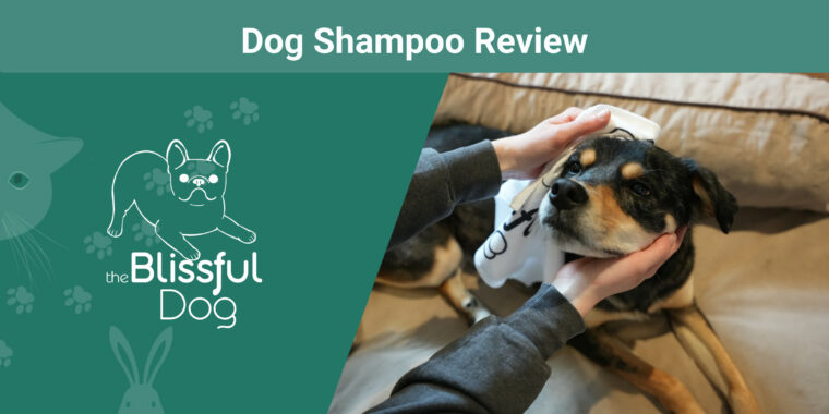 The Blissful Dog No H2O Spray Pet Shampoo
