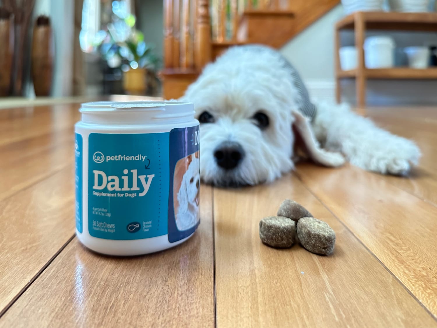 PetFriendly - daily supplement with nora in the background
