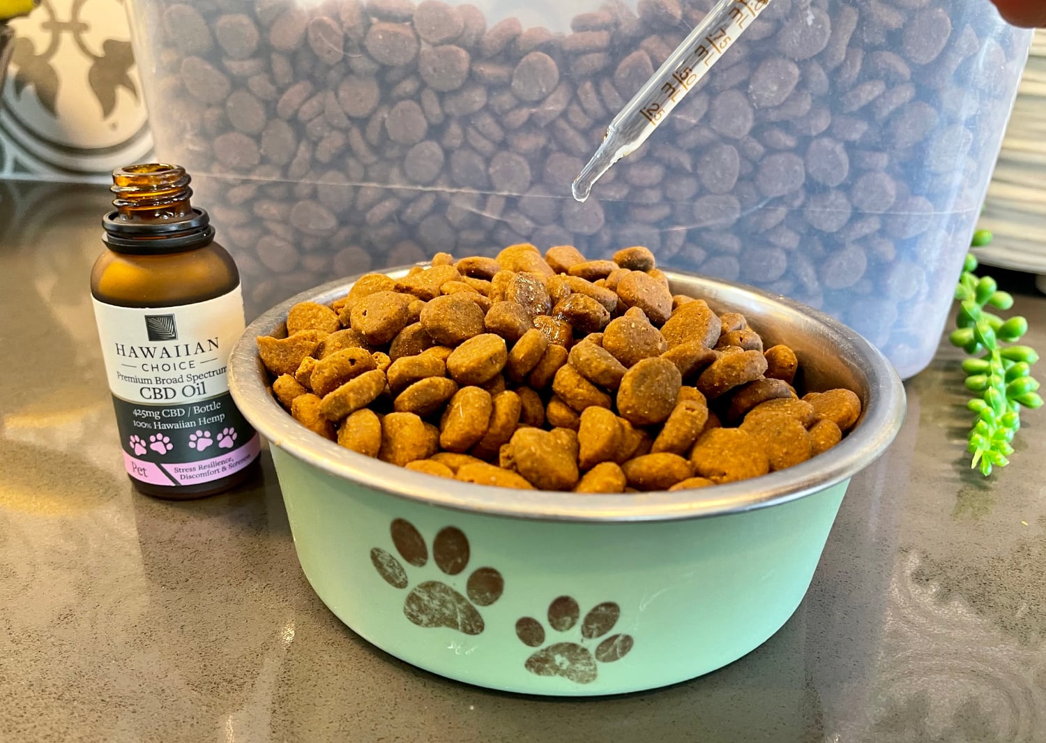 Rare Cannabinoid Dog CBD Oil - mixing the product on dog food