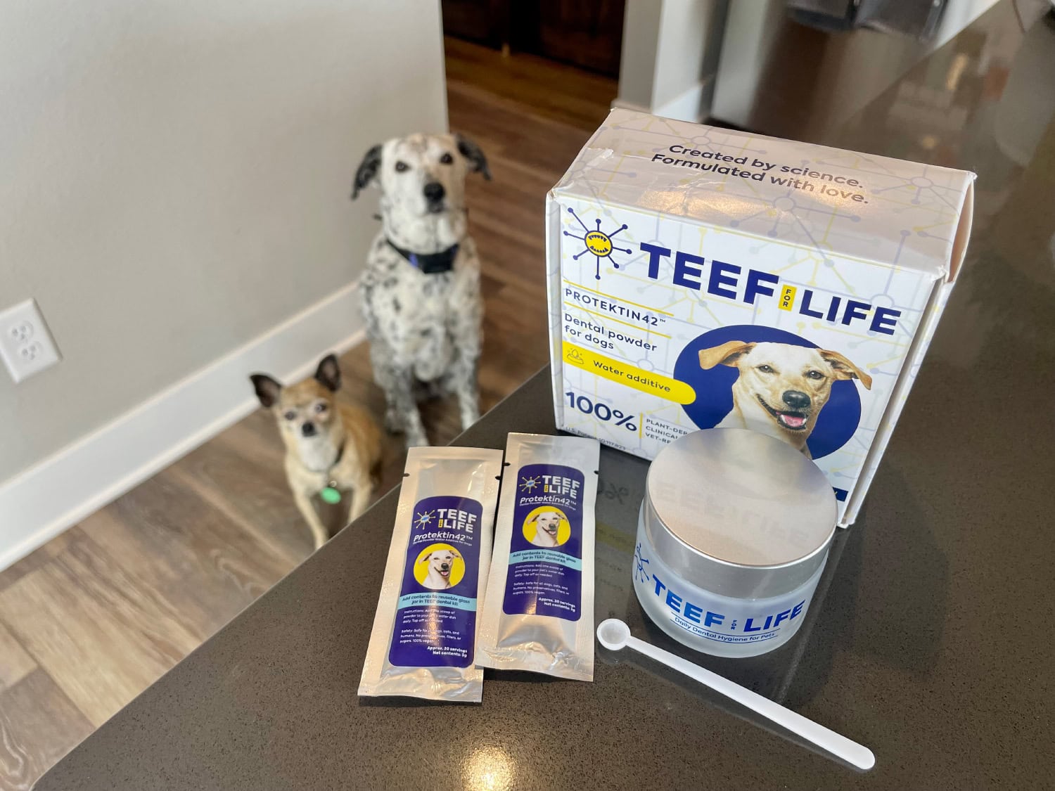 TEEF for Life - products on the counter with dogs in the background