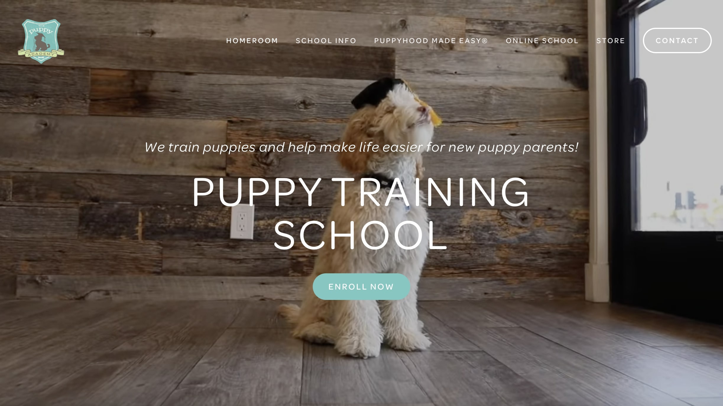 The Puppy Academy Dog Training homepage