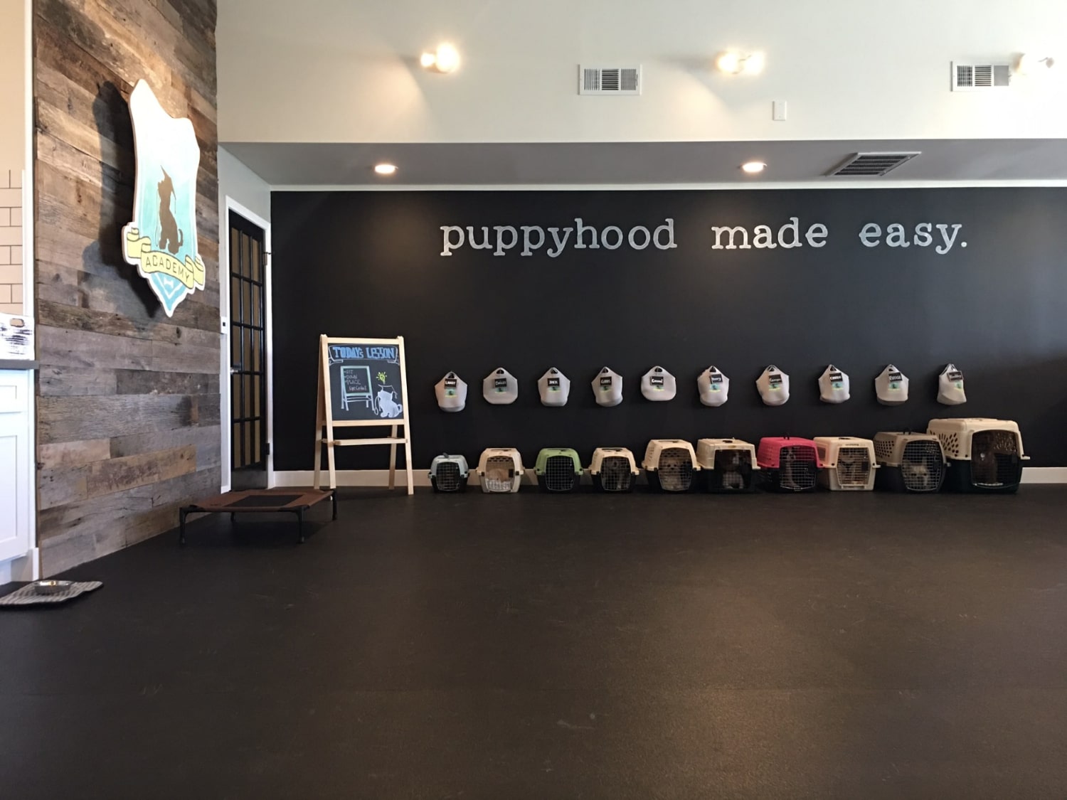 The Puppy Academy Dog Training - main training room