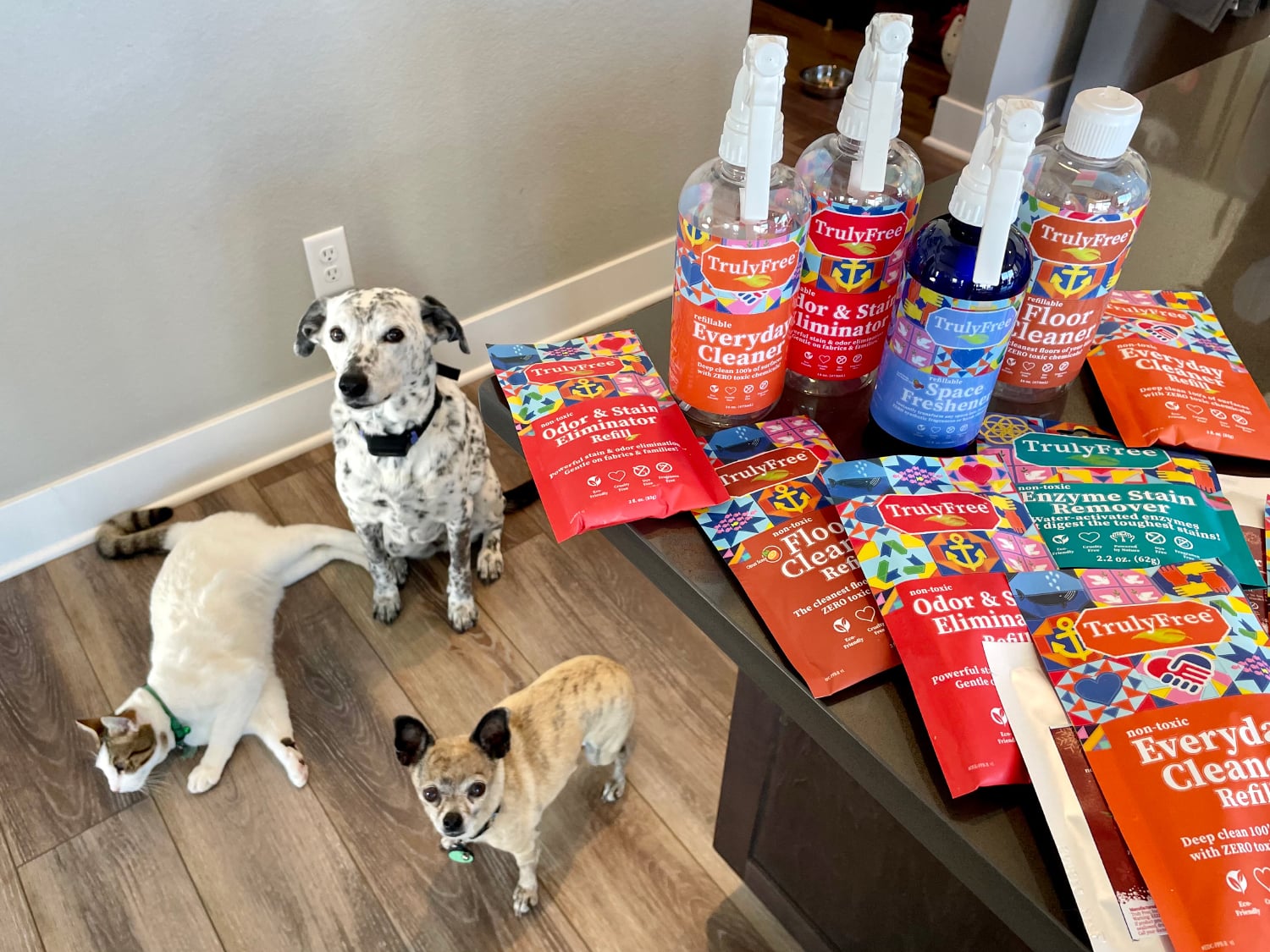 Truly Free Home Pet Cleaning Kit - products and pet at home