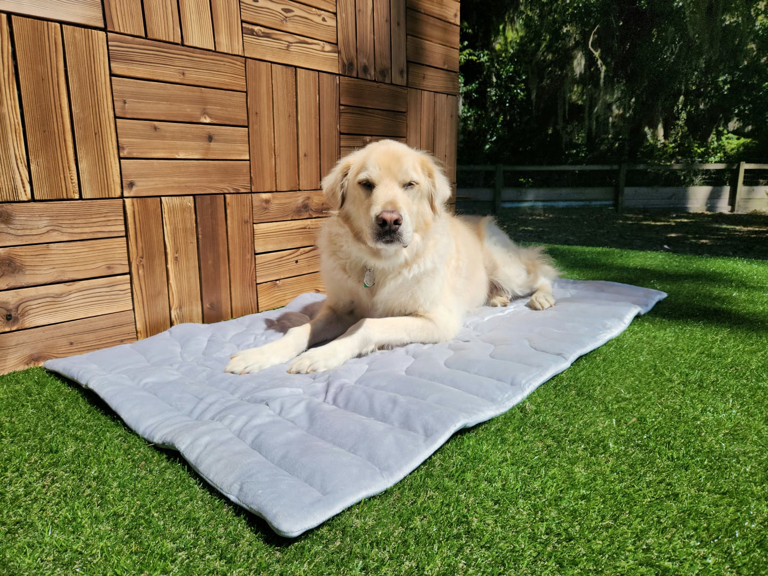 Zonli Pet Cooling Mat - dog lying on the product