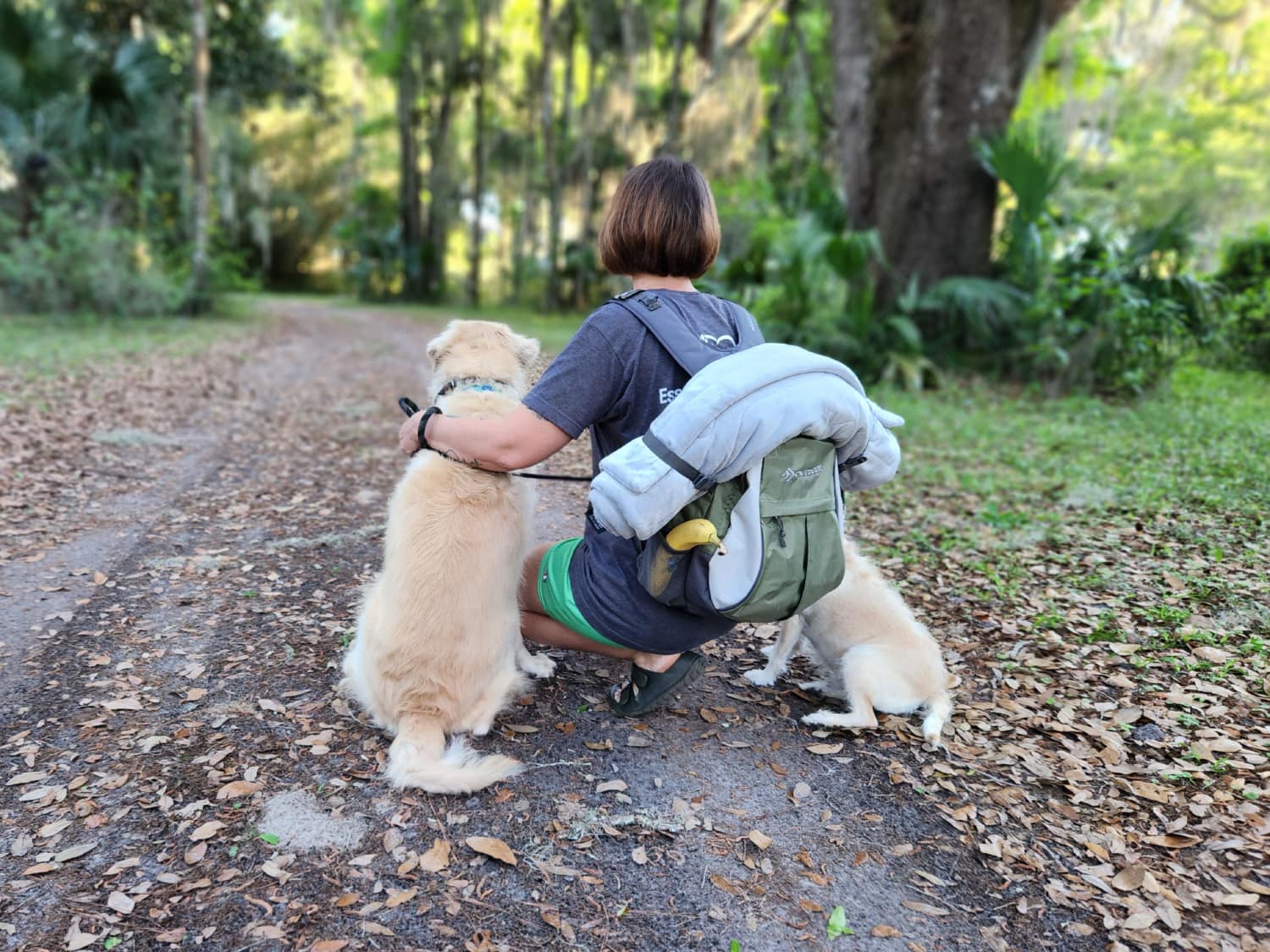 Zonli Pet Cooling Mat - product strapped to the backpack