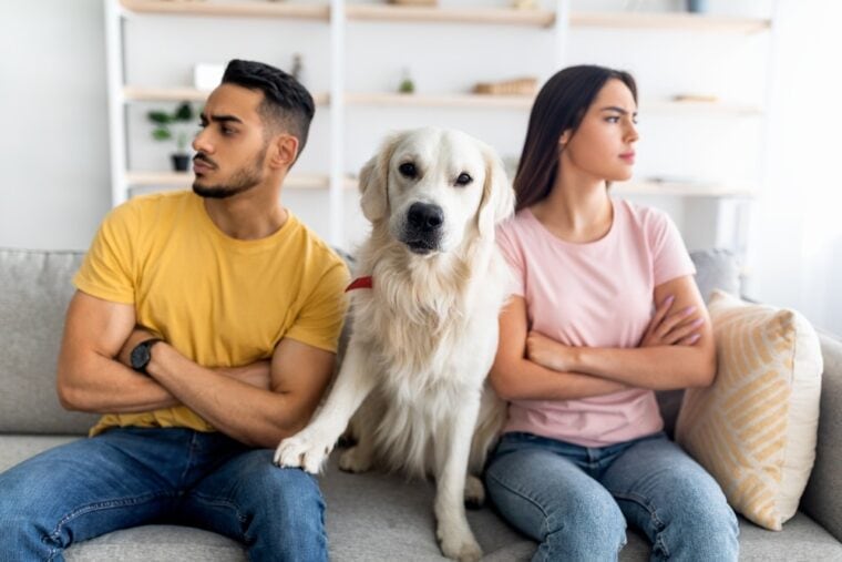 Upset man and woman dog sitting on the couch between them